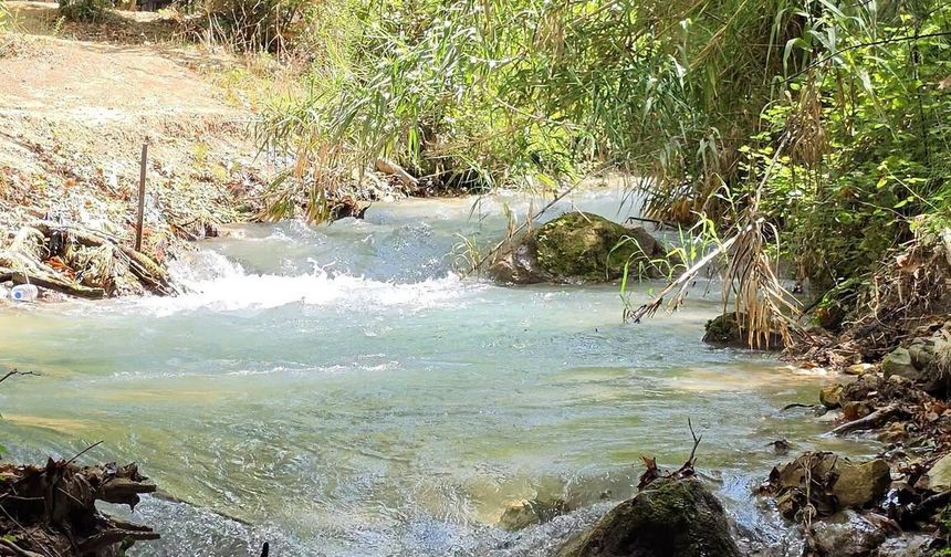 Hatay Defne Aşağı Harbiye’de Doğayla İç İçe Yaşam?