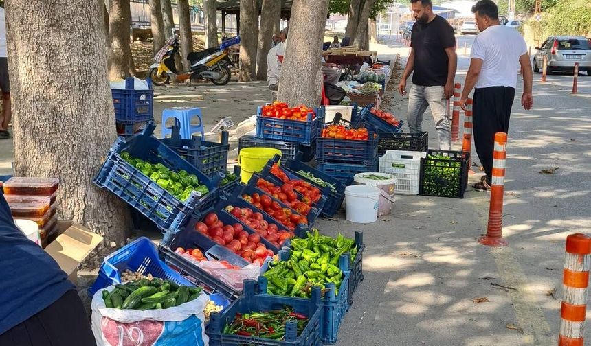 Osmaniye Bahçe’de Köylü Pazarı Taze Ürünleriyle İlgi Görüyor