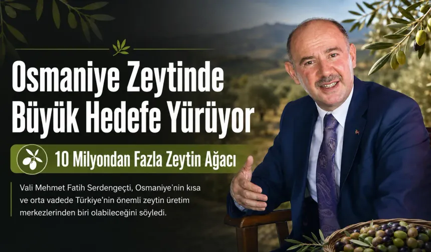 Osmaniye Zeytinde Büyük Hedefe Yürüyor