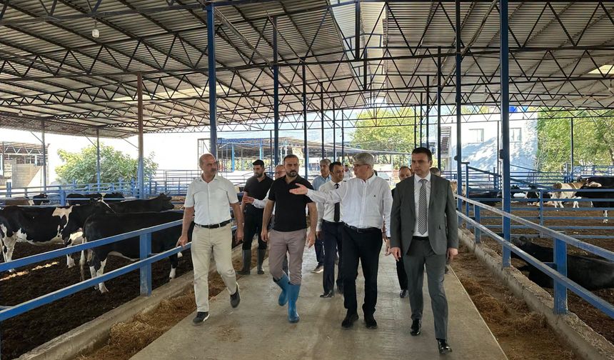 Milletvekili Gülsoy’dan Osmaniye’de Esnaf Ziyareti