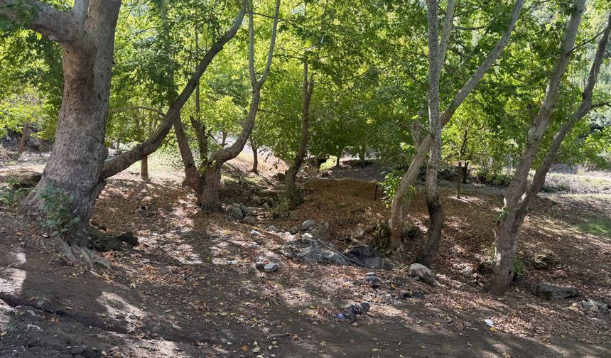 Başkan Yumrutepe’den Hasanbeyli’ye Mesire Alanı Müjdesi
