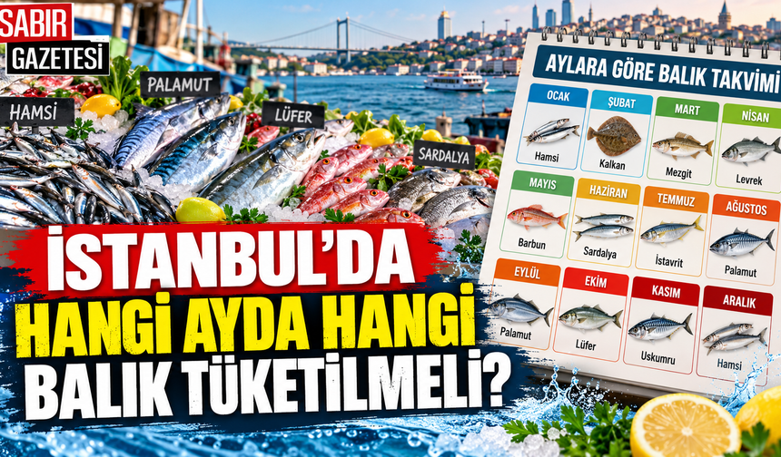 İstanbul'da Hangi Ayda Hangi Balık Tüketilmeli?