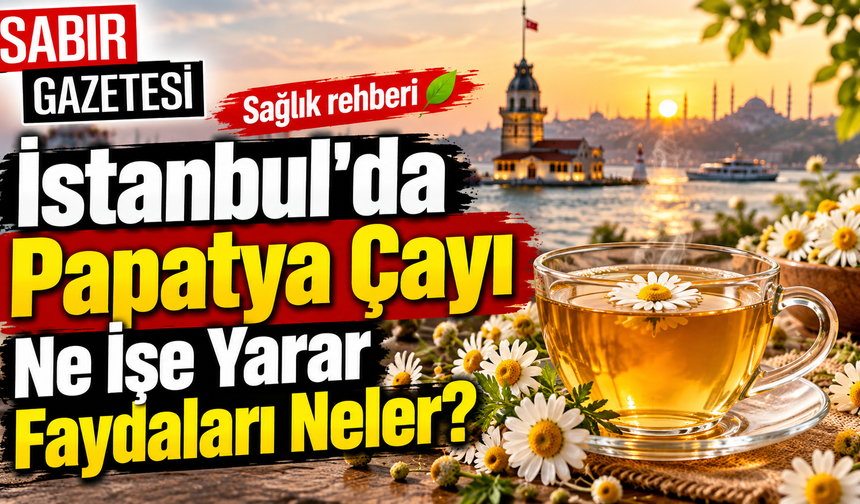 İstanbul'da Papatya Çayı Ne İşe Yarar Faydaları Neler