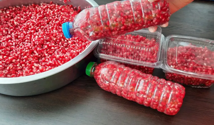 Kışlık Nar Nasıl Saklanır? Pet Şişe Ve Saklama Kabıyla Pratik Yöntem