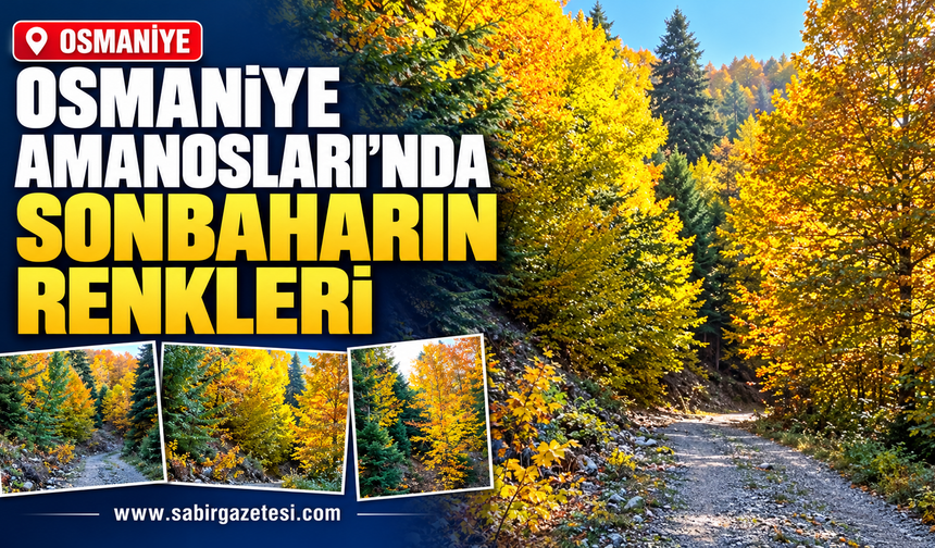 Osmaniye Amanosları’nda Sonbaharın Renkleri