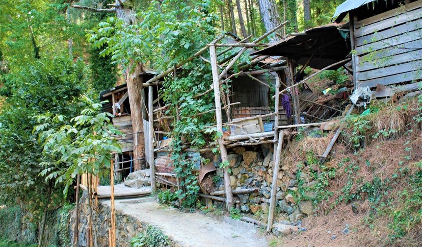 Osmaniye Göğöküz Yaylası Doğaseverleri Bekliyor