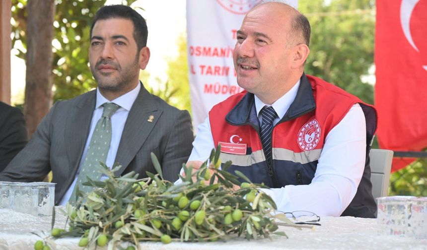 Osmaniye Valisi Serdengeçti Zeytin Rekoltesini Açıkladı