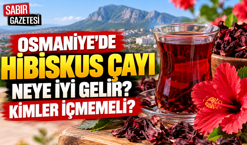 Osmaniye'de Hibiskus Çayı Neye İyi Gelir Kimler İçmemeli?