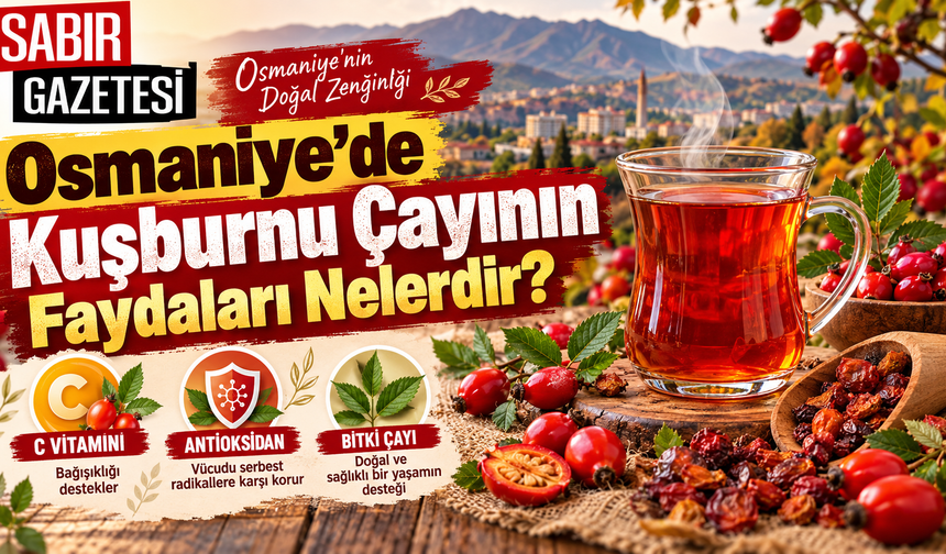 Osmaniye'de Kuşburnu Çayının Faydaları Nelerdir?