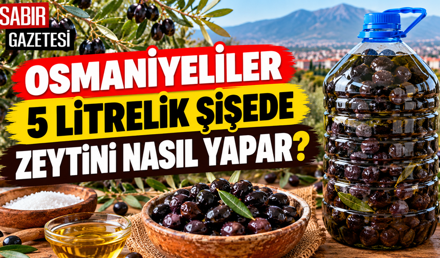 Osmaniyeliler 5 Litrelik Şişede Zeytini Nasıl Yapar?