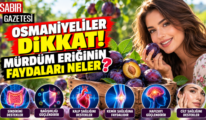 Osmaniyeliler Dikkat Mürdüm Eriğinin Faydaları Neler?