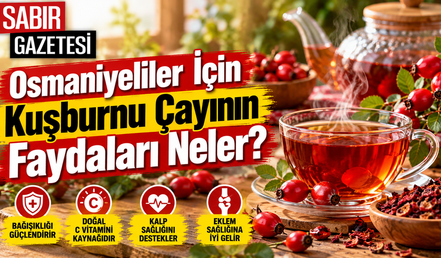 Osmaniyeliler İçin Kuşburnu Çayının Faydaları Neler?