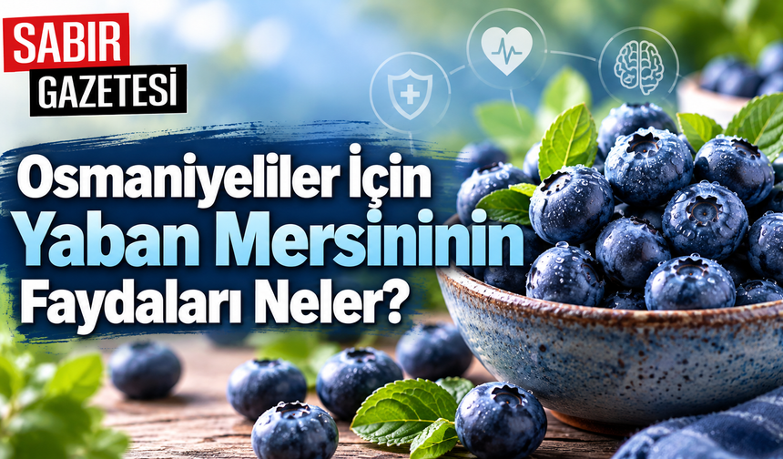 Osmaniyeliler İçin Yaban Mersininin Faydaları Neler?