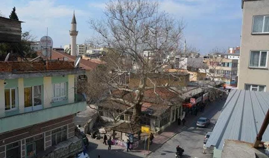 Osmaniye’nin Hafızasında Tarihi Çınarlı Kahve