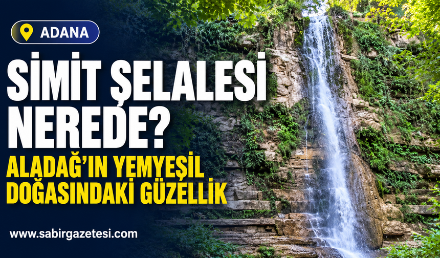 Aladağ'ın Yemyeşil Doğasındaki Güzellik Simit Şelalesi