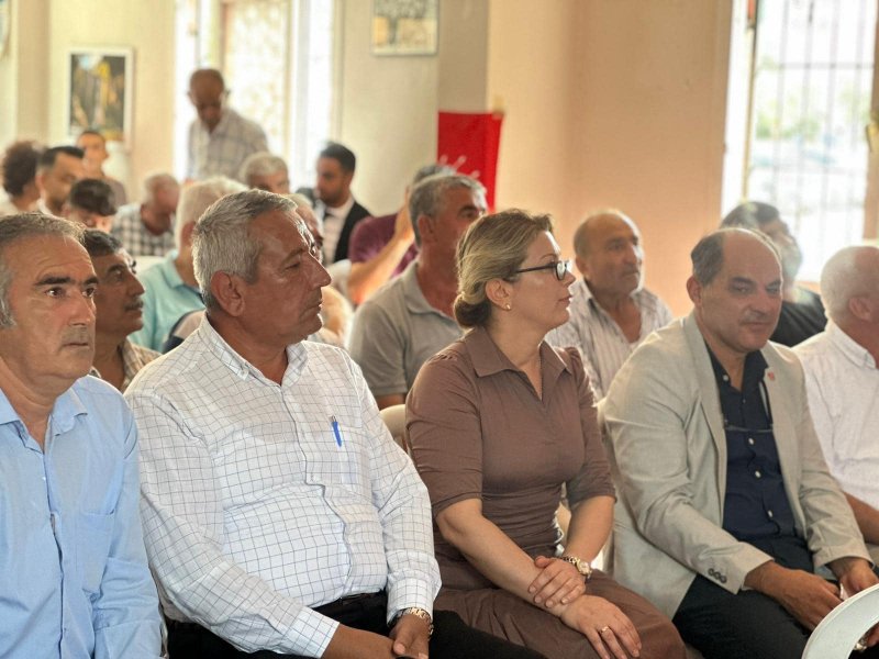 Asu Kaya Gedik Toprakkale