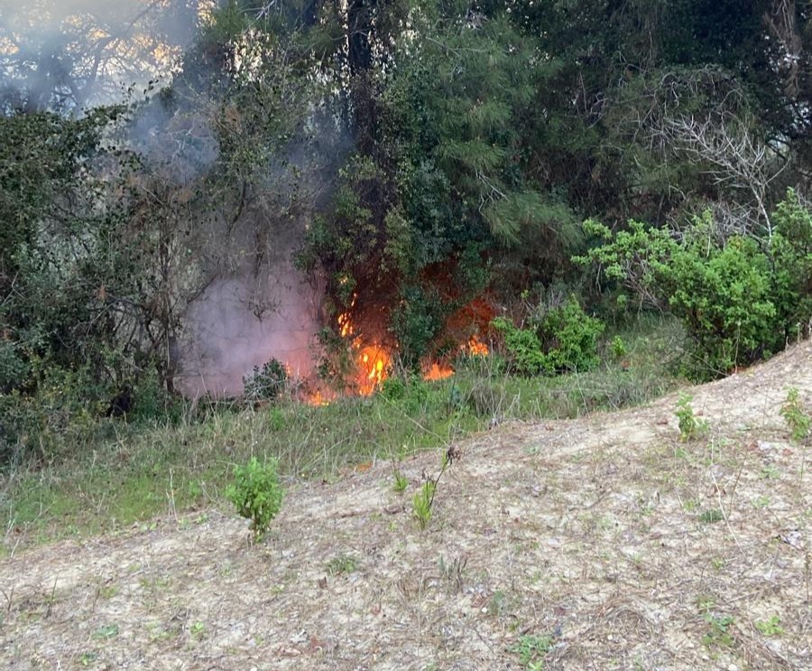 Kadirli Kızyusuflu Köyü'nden Orman Yangını Çıktı (3) Kopya