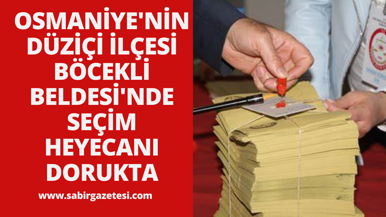 Osmaniye'nin Düziçi İlçesi Böcekli Beldesi'nde Seçim Heyecanı Dorukta