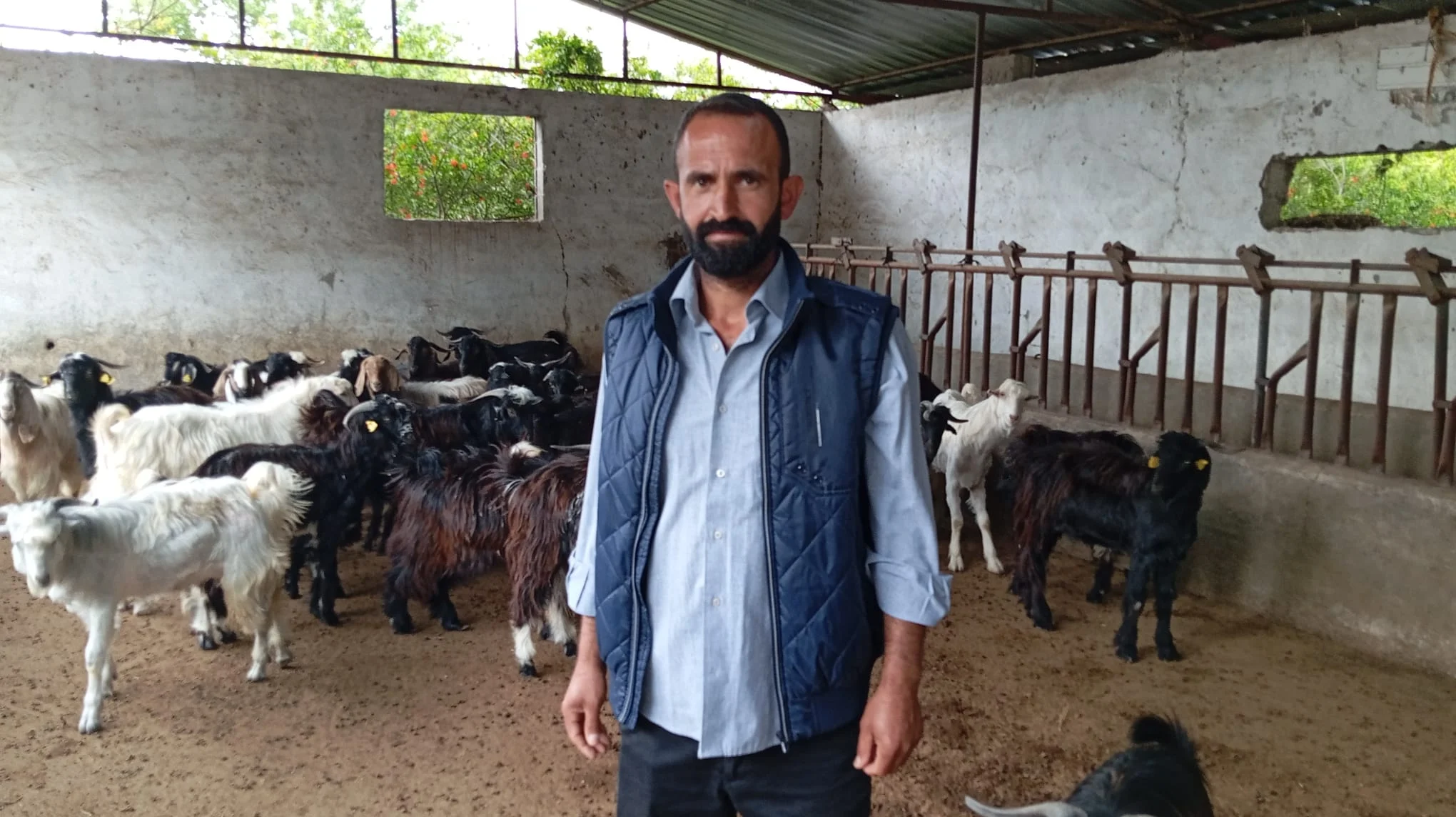 Osmaniye'de Besiciler Maliyet Artışından Şikayetçi: 