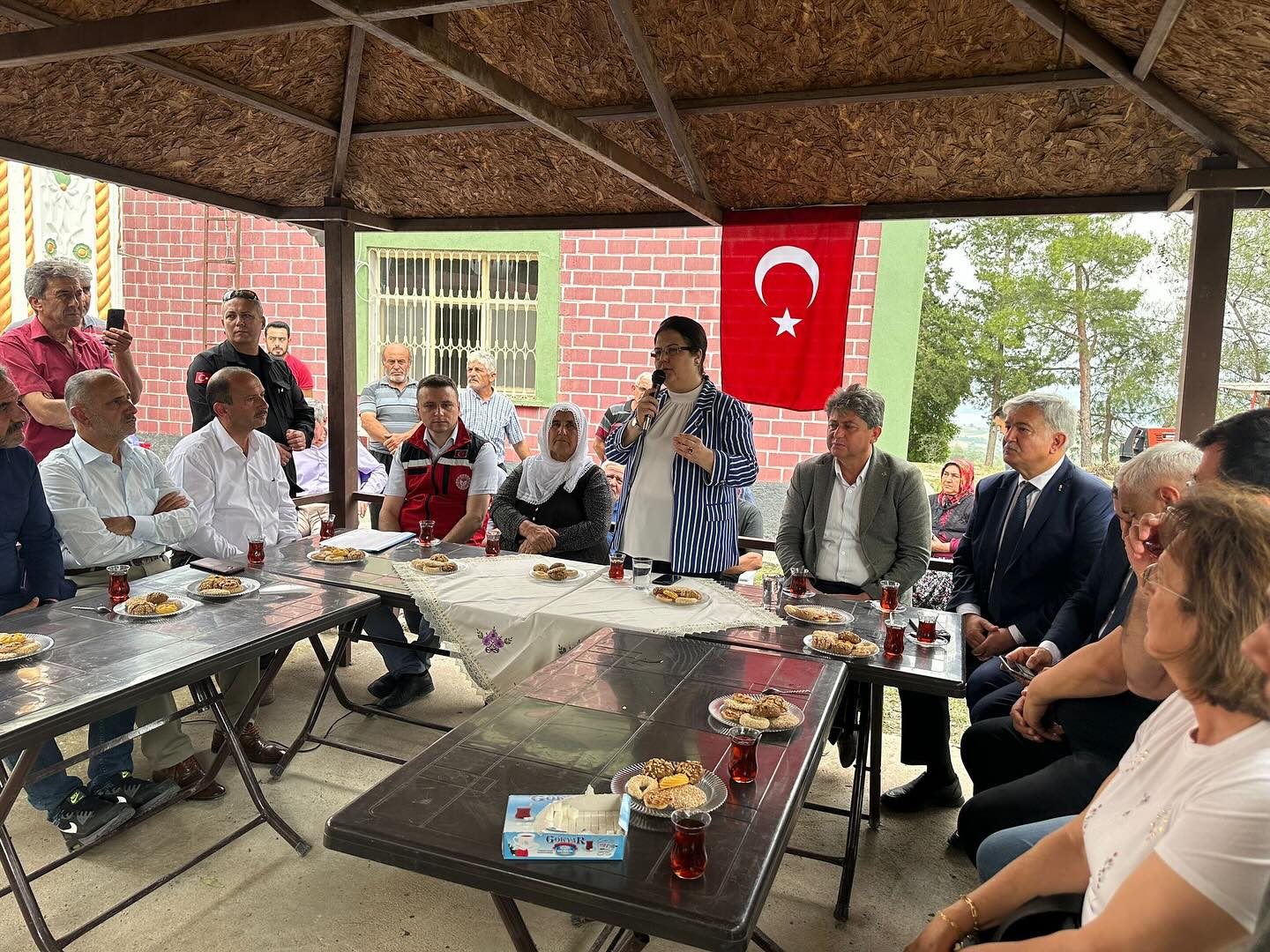 Derya Yanık Kadirli’de Hasar Gören Tarım Alanları İçin Acil Destek Sözü (2)