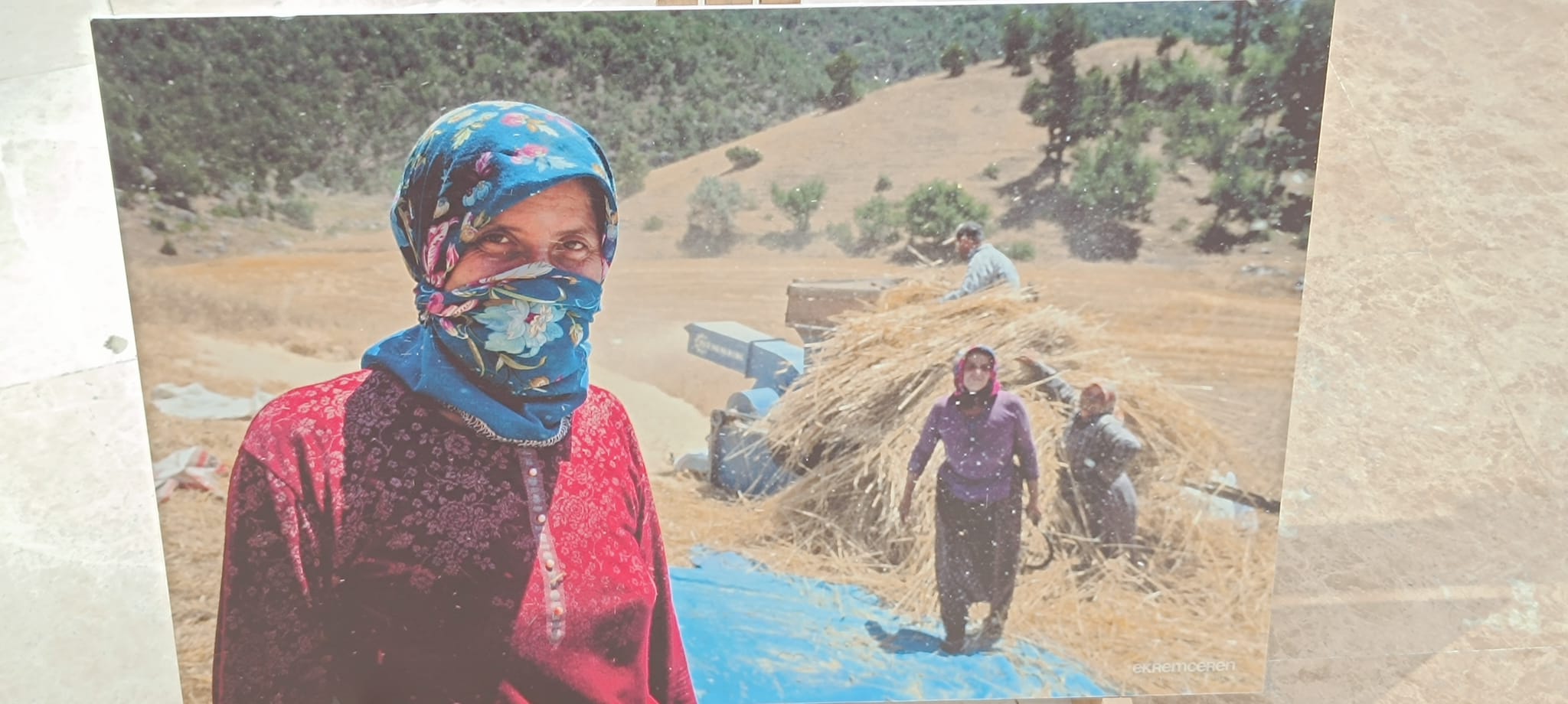 Ekrem Ceren Fotoğrafları (9)