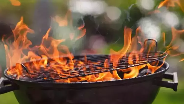 Kurban Bayramı Geldi, Mangal Keyfi Başladı! (4)