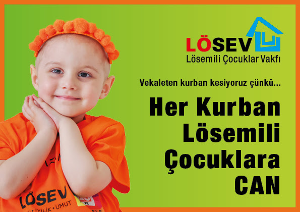 Losev-1