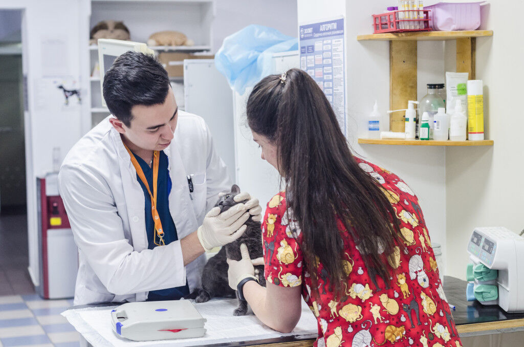 Osmaniye'de Sokak Hayvanları İçin Nöbetçi Veteriner Kliniği Uygulaması Sona Erdi (2)