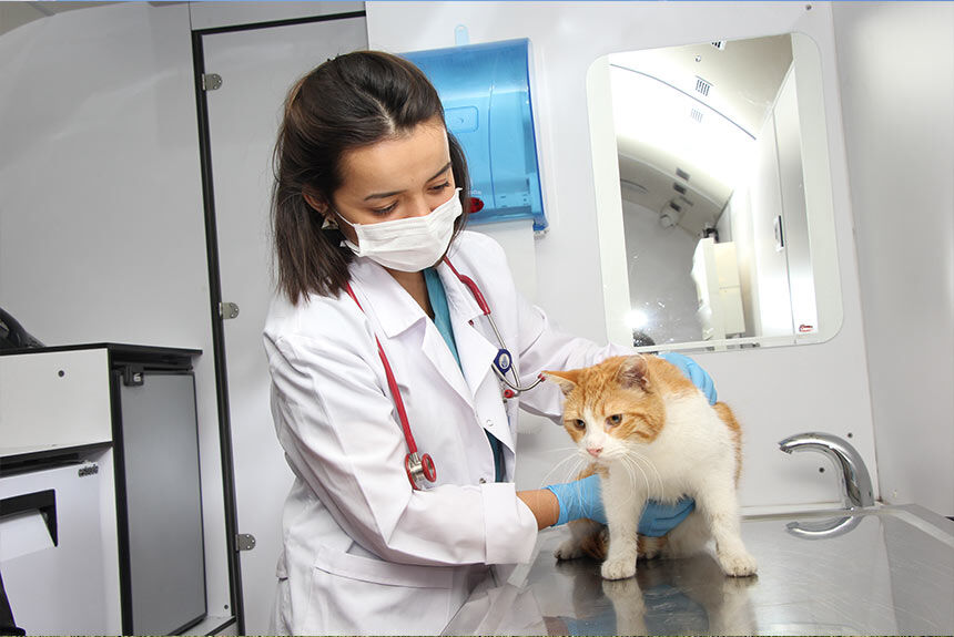 Osmaniye'de Sokak Hayvanları İçin Nöbetçi Veteriner Kliniği Uygulaması Sona Erdi (5)