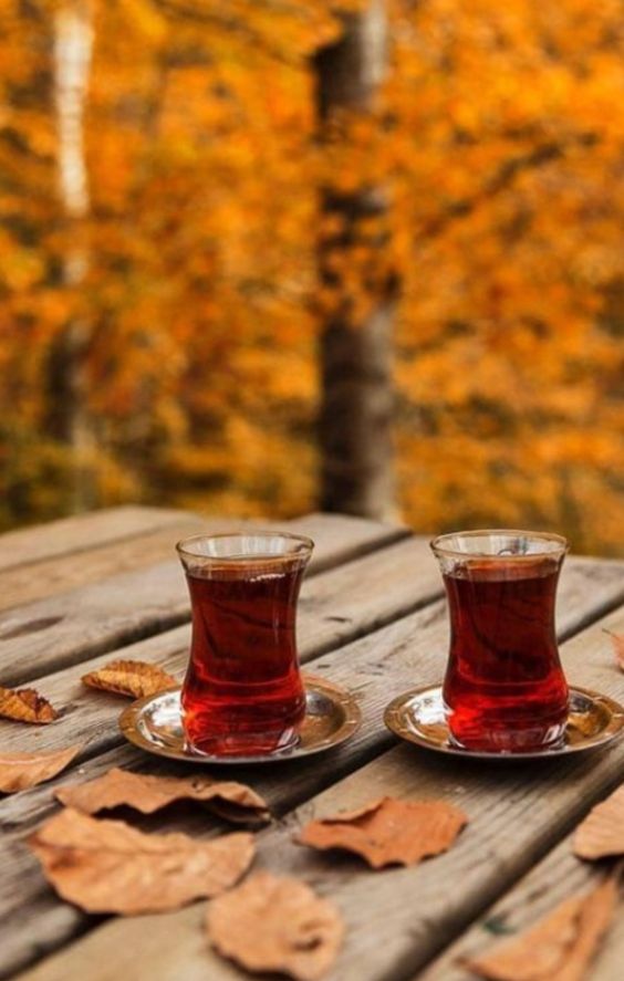 Çay (12)