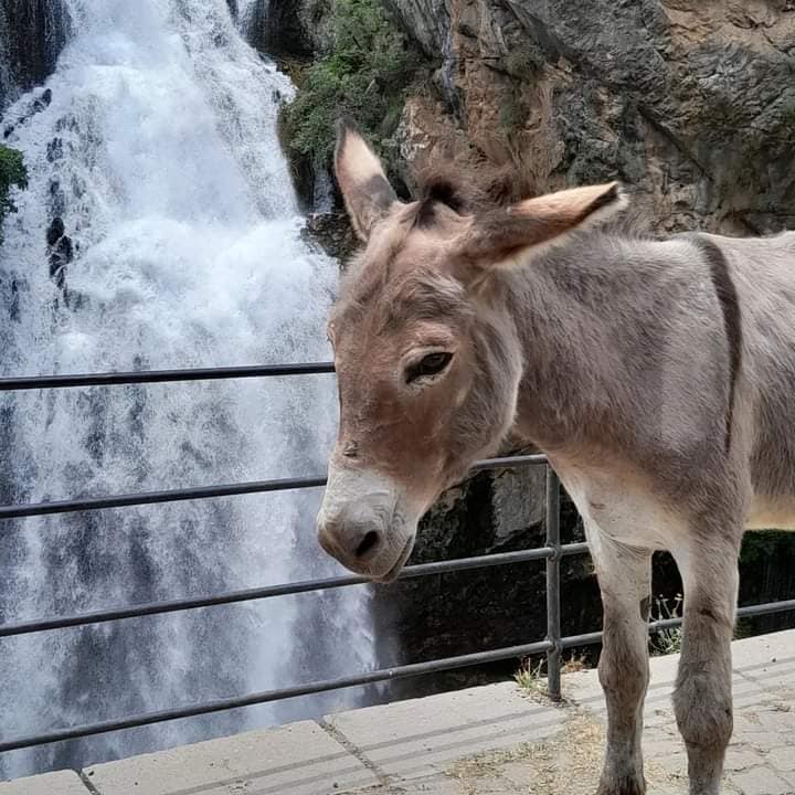 Kapuzbaşı Ve Yeşilköy Şelaleleri Doğanın Büyüleyici Harikaları (4)