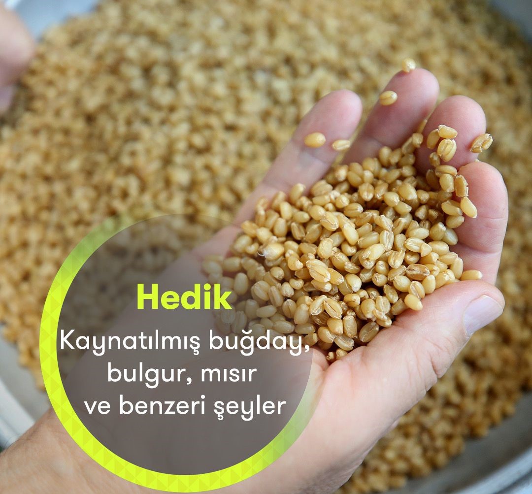 Hedik