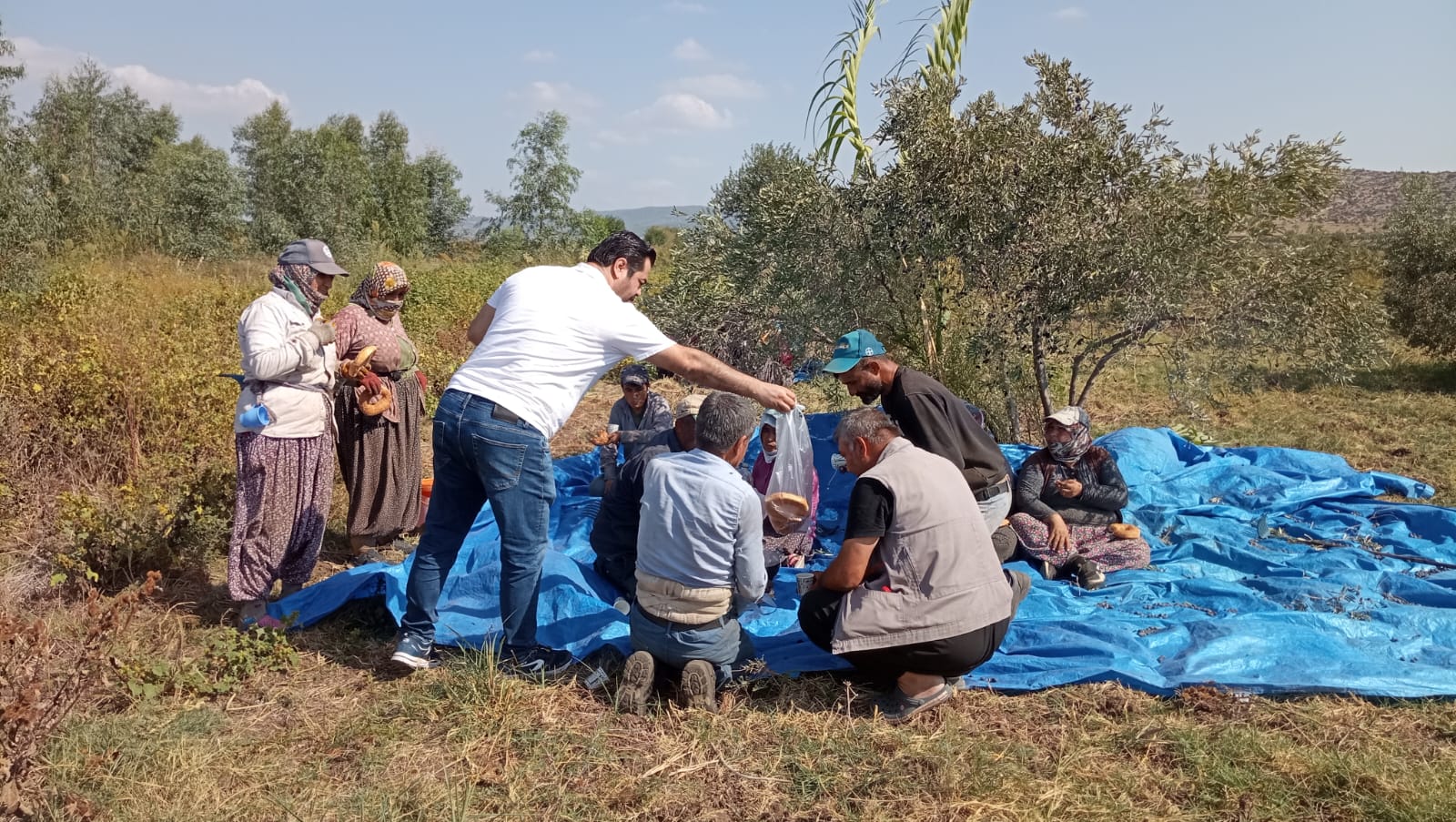 Çetin Önsel'den Zeytin İşçilerine Destek Ziyareti (1)