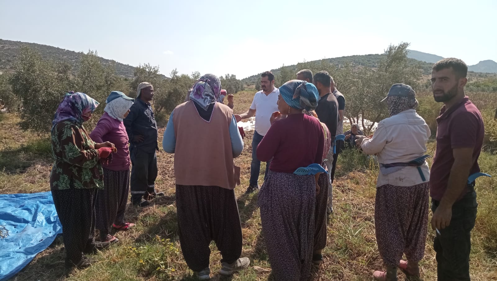 Çetin Önsel'den Zeytin İşçilerine Destek Ziyareti (2)