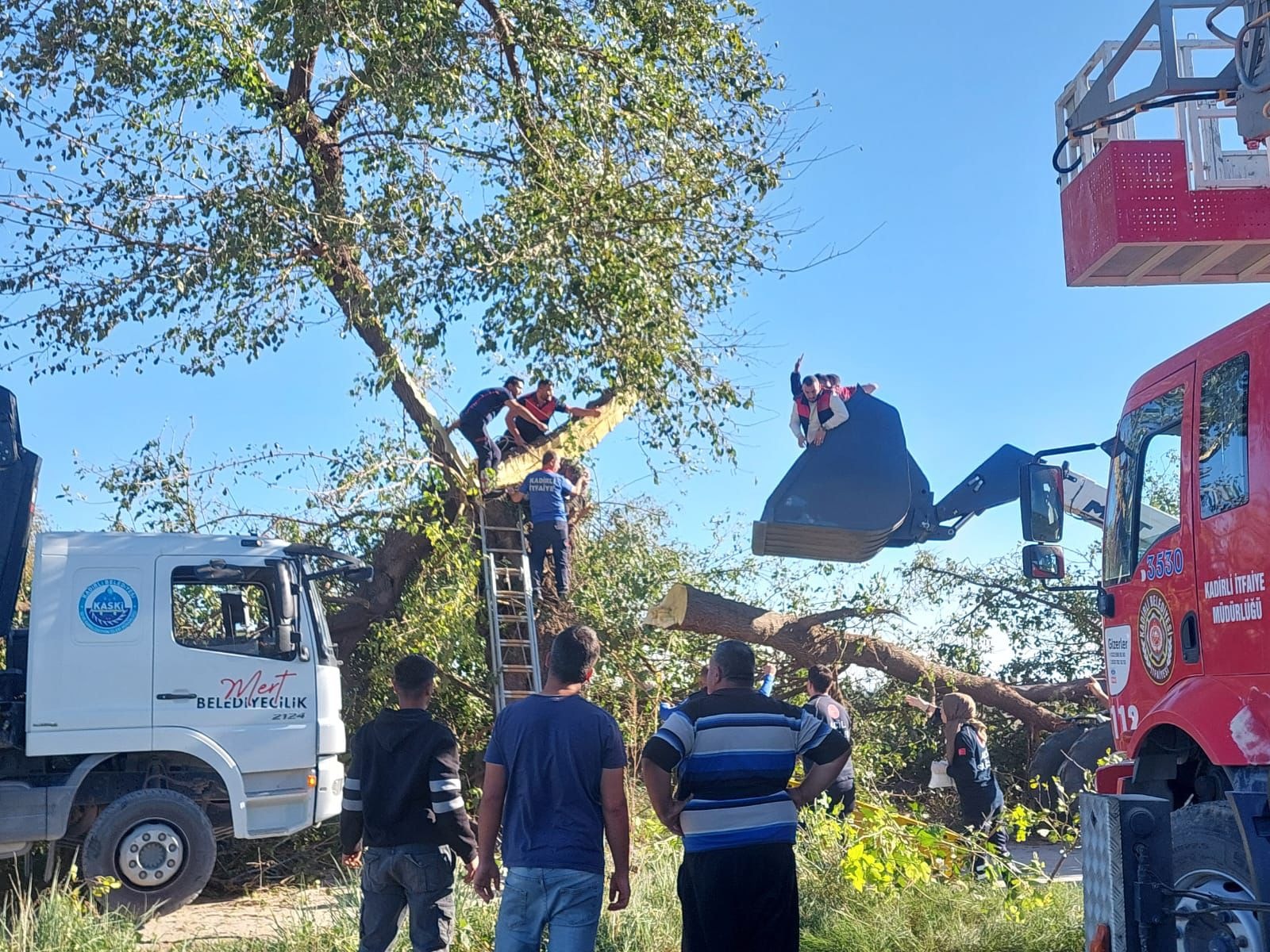 Kadirli’de Ağacın Altında Kalan Kişi Hayatını Kaybetti (3)