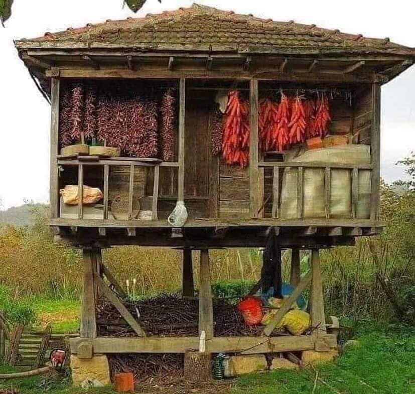 Karadeniz’in Mirası Serenderler Yüzyıllık Geleneği Yaşatıyor (1)