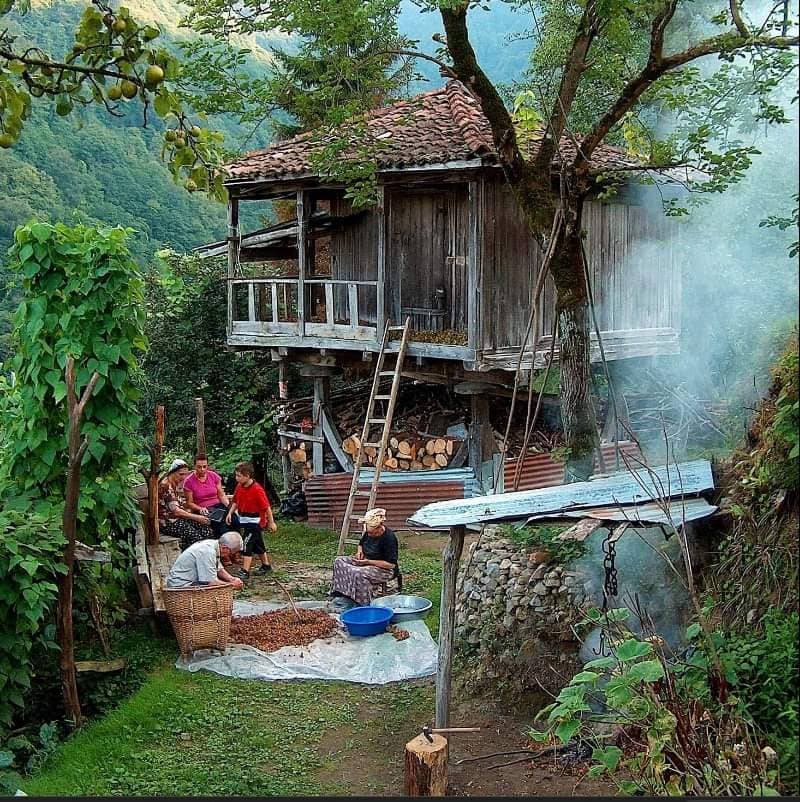 Karadeniz’in Mirası Serenderler Yüzyıllık Geleneği Yaşatıyor (2)