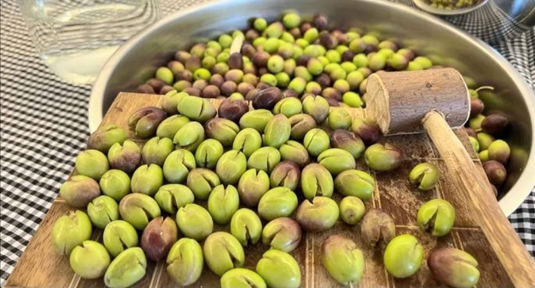 Osmaniye'de Geleneksel Kırma Zeytin Yapımı Lezzetin Sırları (2)