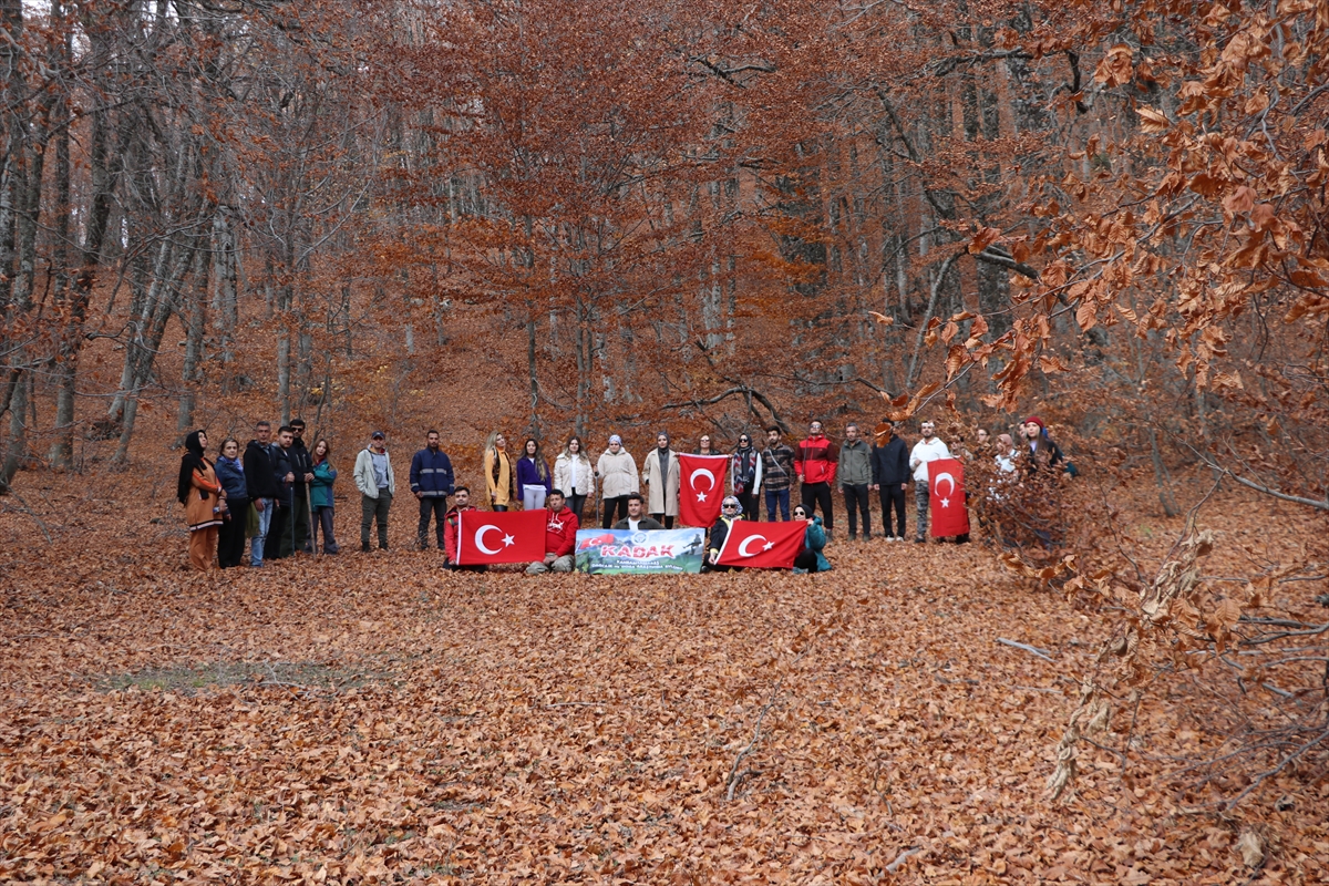 Andırın'da Kayın Ormanları Güz Renkleriyle Doğa Tutkunlarını Ağırlıyor (10)