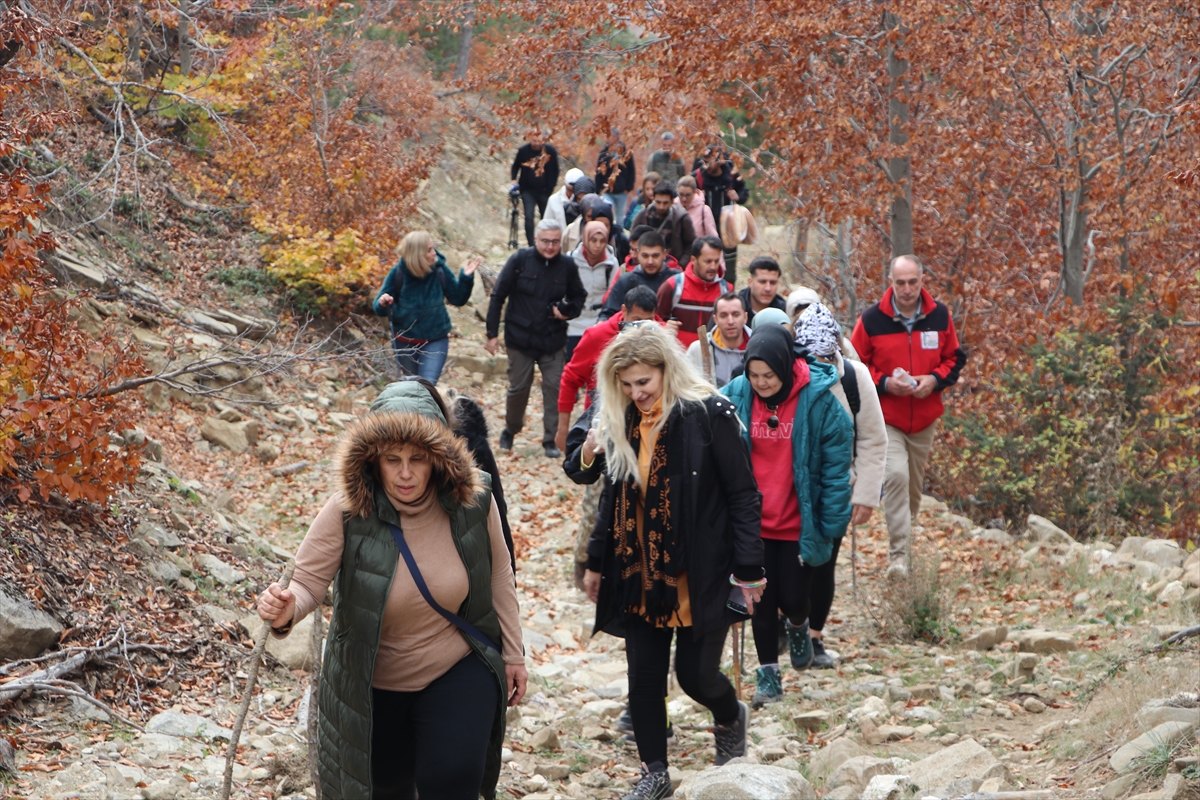 Andırın'da Kayın Ormanları Güz Renkleriyle Doğa Tutkunlarını Ağırlıyor (4)