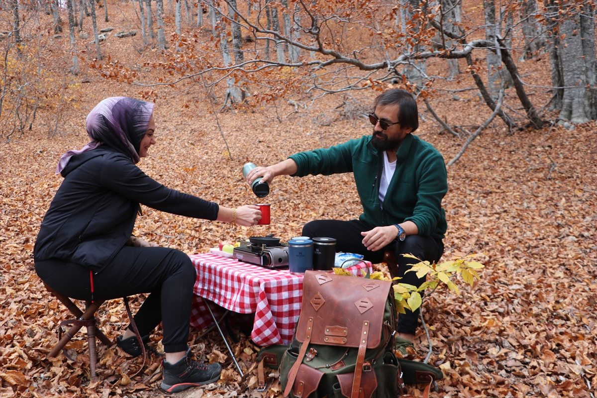 Andırın'da Kayın Ormanları Güz Renkleriyle Doğa Tutkunlarını Ağırlıyor (7)