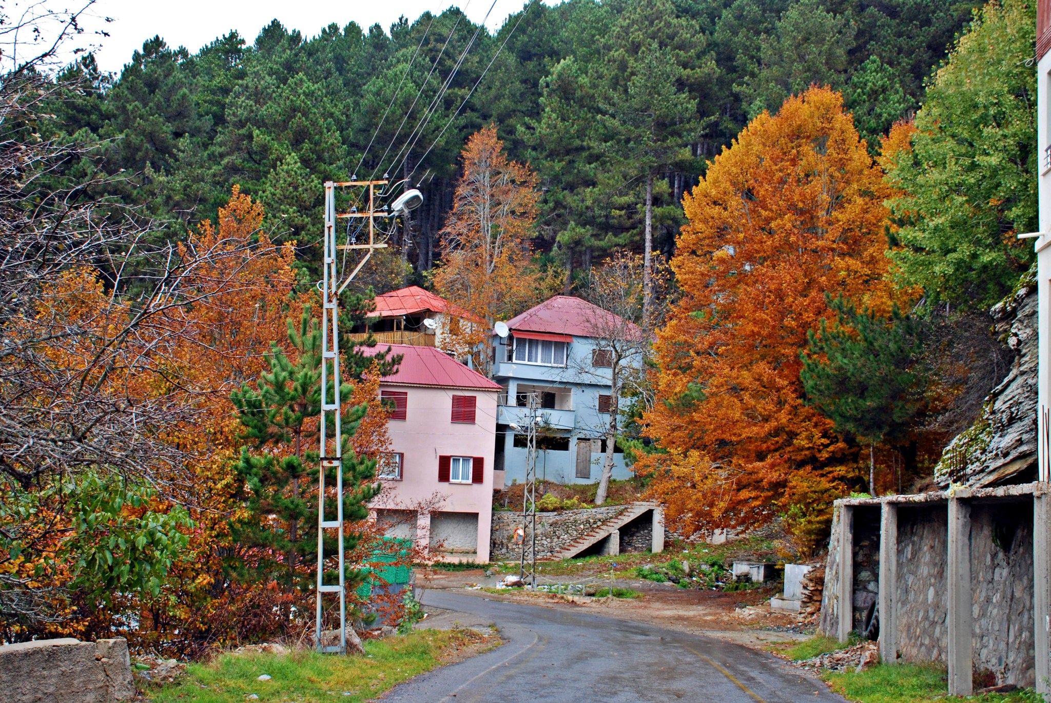 Dörtyol’un Bağrıaçık Yaylası’ndan Doğa Harikası Kareler (1)