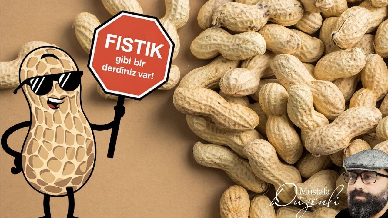 Peanut Yer Fıstığı