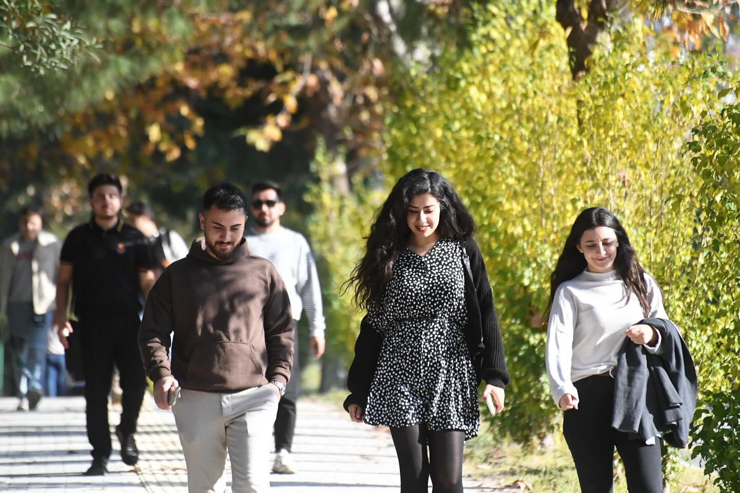 Osmaniye Korkut Ata Üniversitesi Kampüsünde Sonbahar Coşkusu (7)