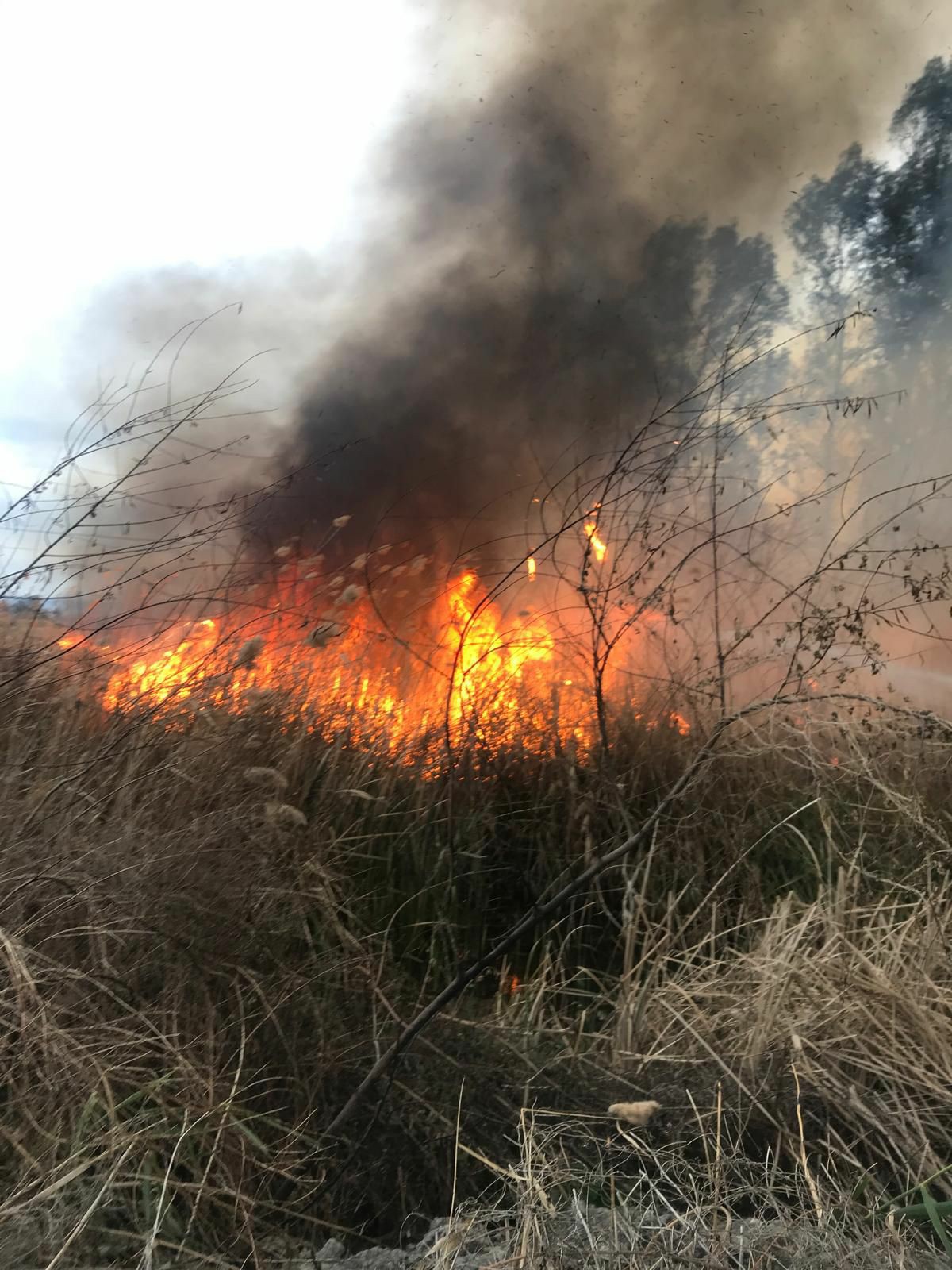 Kadirli Adana Karayolundaki Yangın Kontrol Altına Alındı (1)