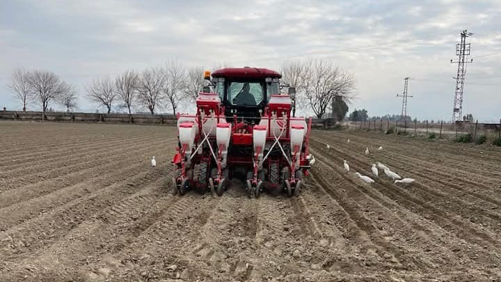 Kadirli’de Çiftçiler Mısır Ekimine Başladı