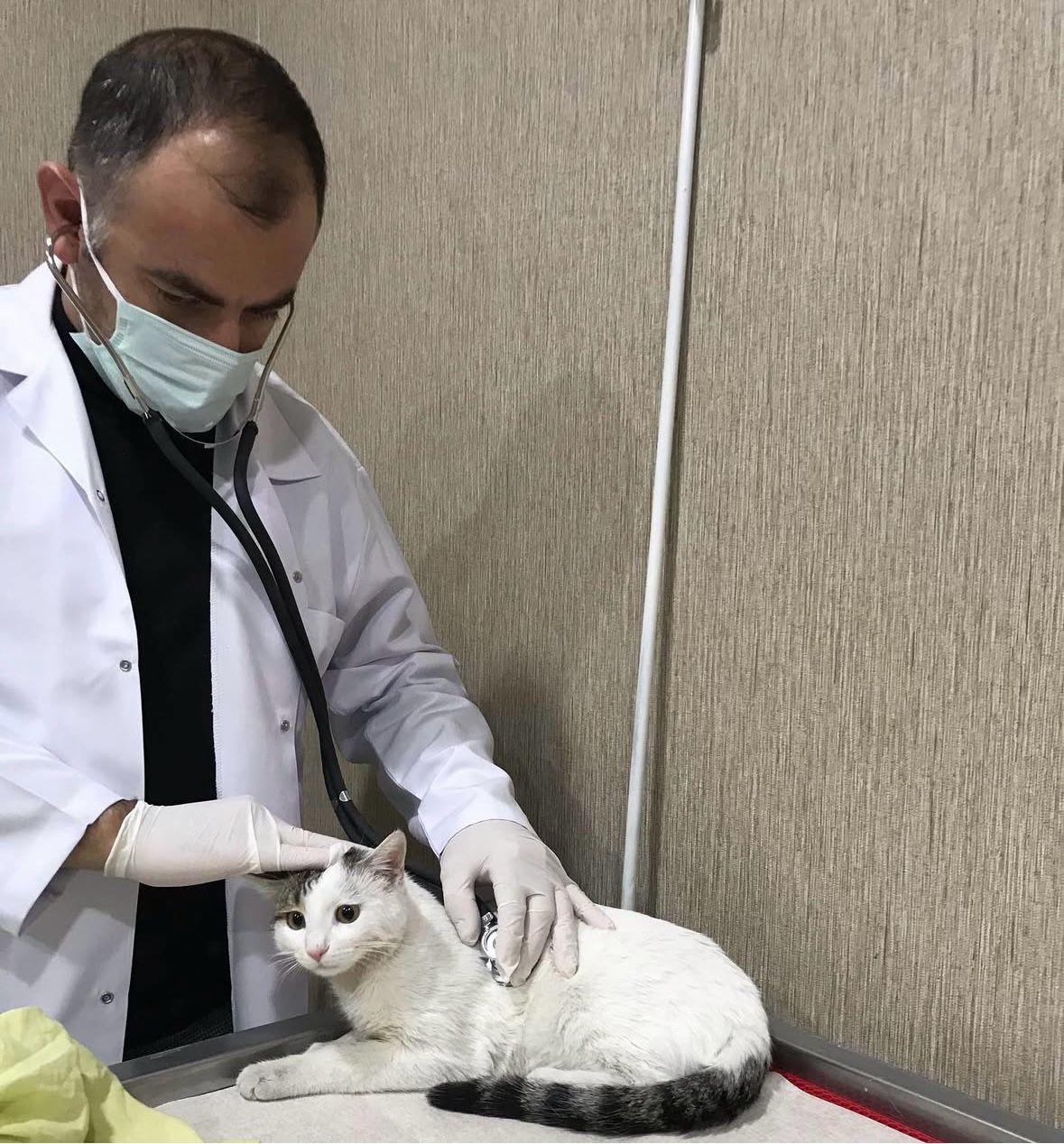 Veteriner Hekim Mahmut Yaş Ekosistemin Sessiz Bekçileriyiz (11)