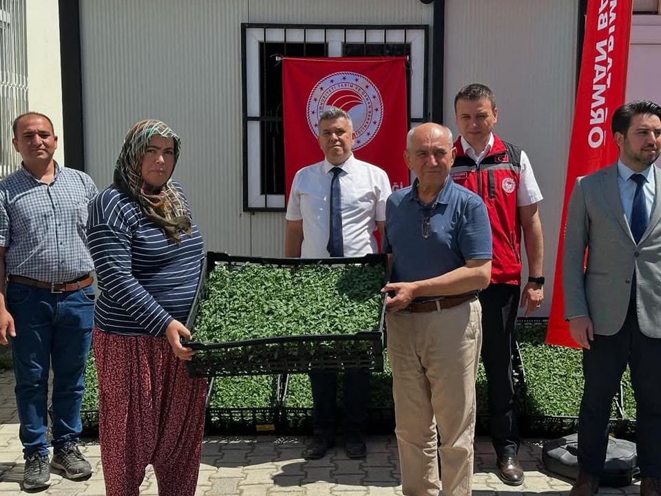 Bahçe’de 100 Çiftçiye 118 Bin Domates Fidesi Dağıtıldı (2)