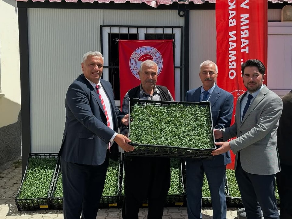 Bahçe’de 100 Çiftçiye 118 Bin Domates Fidesi Dağıtıldı (3)