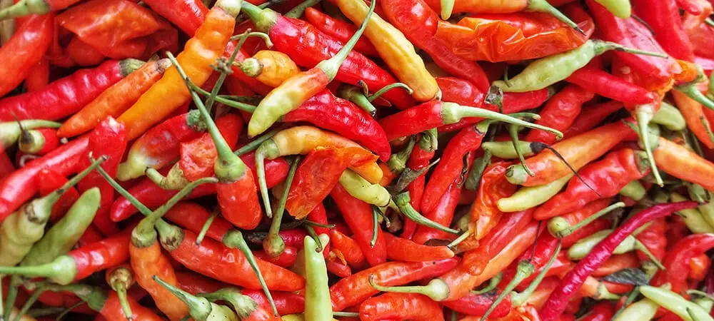 Acı Biberin Faydaları